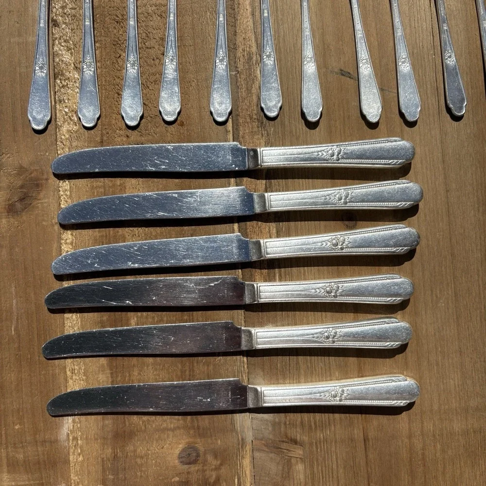 Memory-Hiawatha by WM Rogers/INTERNATIONALSILVER 6‎ Knifes, Salad Forks, Spoons